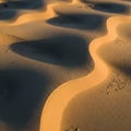 Undulating sand dunes exhibit smooth, wavelike Royalty Free Stock Photo