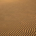 Undulating sand dunes featuring evenly spaced ripples created by wind Royalty Free Stock Photo