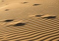 Undulating sand dunes featuring fine, linear ripples created by wind, likely in a desert Royalty Free Stock Photo