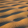Undulating sand dunes form a wave-like pattern under warm, golden light Royalty Free Stock Photo
