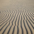 Undulating sand dunes with intricate ripple patterns created by wind Royalty Free Stock Photo