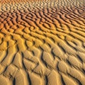 Undulating sand dunes with intricate ripple patterns created by wind Royalty Free Stock Photo