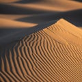Undulating sand dunes with intricate ripples under low angle sunlight create Royalty Free Stock Photo