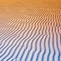 Undulating sand dunes with parallel ripples Royalty Free Stock Photo