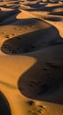 Undulating sand dunes, shadowed and highlighted by low sunlight, create a striking Royalty Free Stock Photo