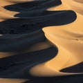 Undulating sand dunes with smooth curves, casting long shadows under low-angle Royalty Free Stock Photo