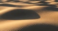 Undulating sand dunes with smooth, rippled surfaces create a pattern in warm, golden light. The Royalty Free Stock Photo