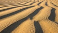 Undulating sand dunes with smooth, wavy patterns under angled sunlight Royalty Free Stock Photo