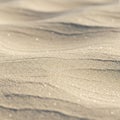 Undulating sand dunes with a soft focus, showcasing fine-grained sandy texture. The Royalty Free Stock Photo