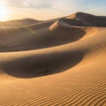 Shadows accentuate the curves of the dunes adding depth and contrast Royalty Free Stock Photo