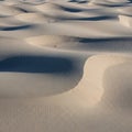 Undulating sand dunes stretch across the Royalty Free Stock Photo
