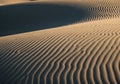 Undulating sand dunes under angled sunlight, creating a pattern of fine, wavy ridges Royalty Free Stock Photo