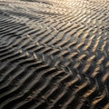 Ripples create a textured surface, with light casting a warm glow on the eleva Royalty Free Stock Photo