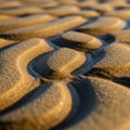 Undulating sand patterns create a mesmerizing texture in golden light Royalty Free Stock Photo