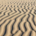 Undulating sand ripples create a mesmerizing pattern in a desert landscape. The fine Royalty Free Stock Photo