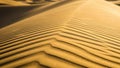 And the undulating shapes of the dunes which are characteris Royalty Free Stock Photo