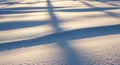 Undulating snow surface with textured patterns, creating gentle ridges. Soft shadows cast by tree Royalty Free Stock Photo
