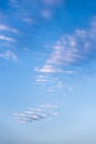 Undulatus clouds on sky. Royalty Free Stock Photo