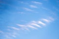 Undulatus clouds on sky. Royalty Free Stock Photo