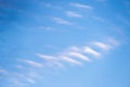 Undulatus clouds on sky.