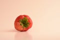 UNE JOLIE FRAISE DANS UN STUDIO PHOTO