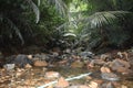 Unedited image of water stream flowing in rocky area Royalty Free Stock Photo