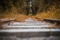 Unending train track lined with grasses and trees