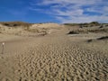 Neringa landscapes in Lithuania in summer