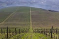 UNESCO World Heritage, the beautiful endless lines of Douro Valley Vineyards, in Vila Nova de Foz Coa.