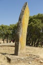 UNESCO World Heritage obelisks of Axum, Ethiopia.