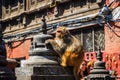 UNESCO World Heritage Site Swayambhunath Monkey Temple of Buddhists and Hindus in Kathmandu Nepal