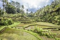 Tegalalang rice terraces near Ubud, Bali