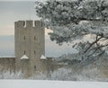 The UNESCO World Heritage Site Visby.GN Royalty Free Stock Photo