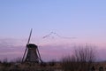 UNESCO World Heritage windmill stands as geese fly in Kinderdijk, near Rotterdam Netherlands