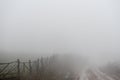 Uneven road, hedge, fog in the Armenian village