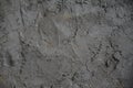 Uneven rough gray concrete wall surface