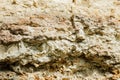 Uneven stone texture, retractable rock close-up. Natural background for design Royalty Free Stock Photo