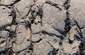 Uneven surface of a black stone with seaweed occupying cracks