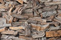 uneven woodpile of round logs of different sizes, sawn and visible with texture cuts, firewood piled under a tree at the