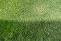 Unevenly Trimmed Grass Split Horizontally