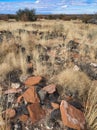 Unexcavated Ruins in Coconino National Forest near Flagstaff, Arizona Royalty Free Stock Photo