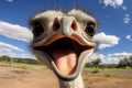 Unexpected Ostrich selfie funny head. Generate Ai Royalty Free Stock Photo