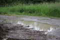 unexpected Puddle Royalty Free Stock Photo