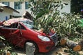 Unexpectedly a big rubber tree fell on a parked red car on a calm and sunny day