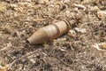 Unexploded rusty projectile in the forest