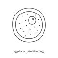 Unfertilized female egg line icon in vector, medical illustration. Royalty Free Stock Photo