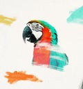 The unfinished drawing of a parrot, drawing in process Royalty Free Stock Photo