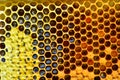 Unfinished honey in honeycombs Royalty Free Stock Photo