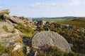 An unfinished millstone laying among rocks and heather on a Derbyshire hillside