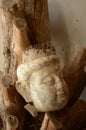 Unfinished plaster Buddha head